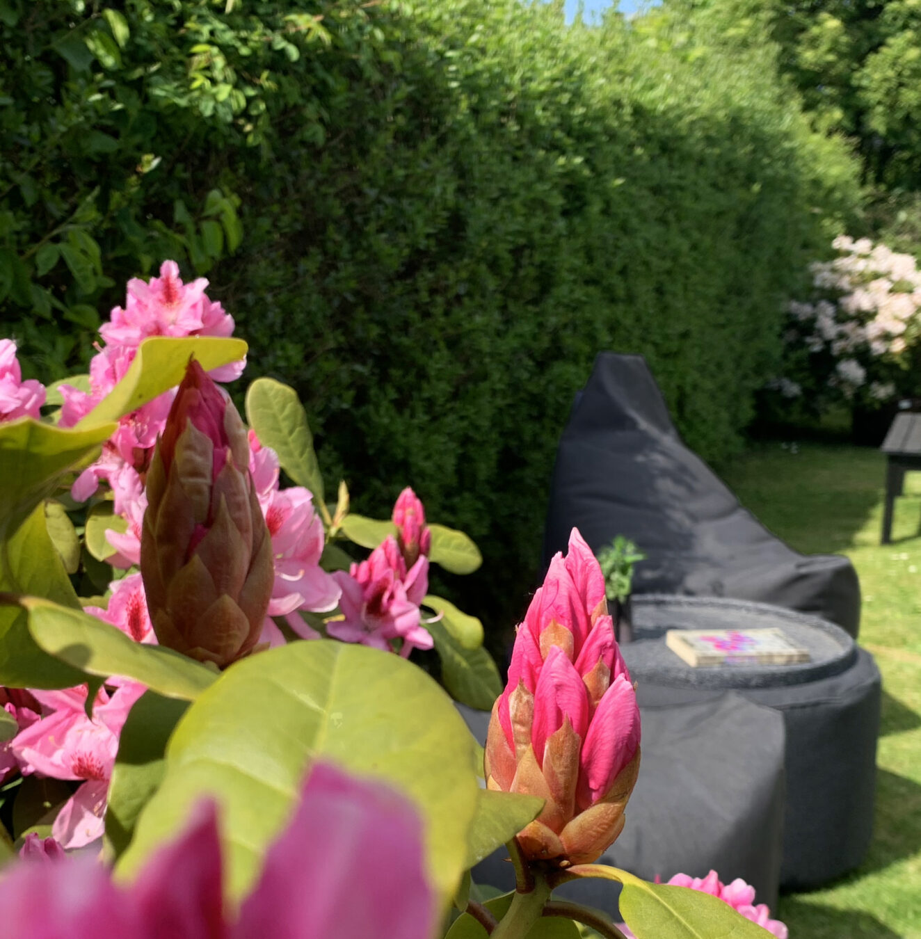 Weekend Sunbrella Set