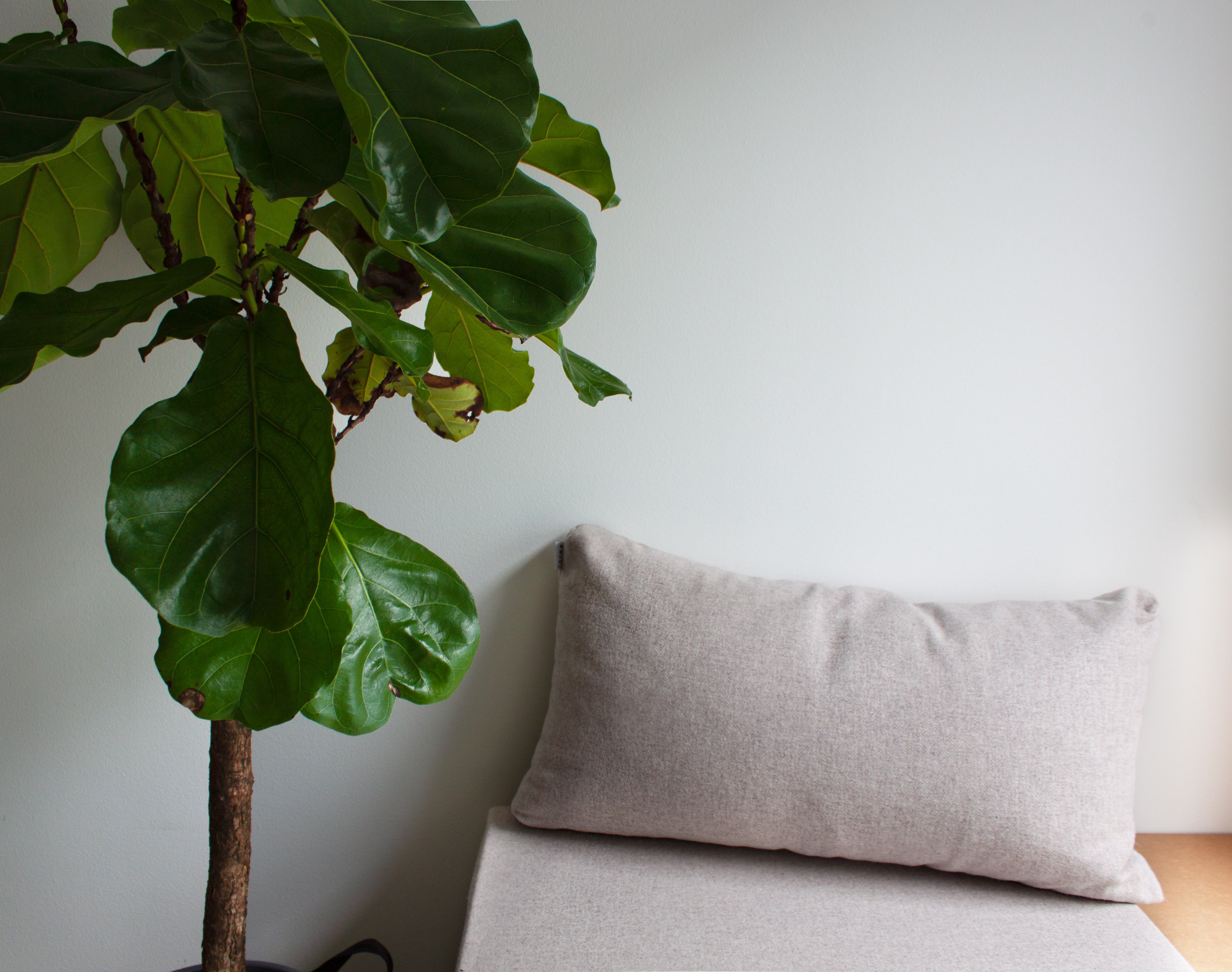 Wool Cushion Big
