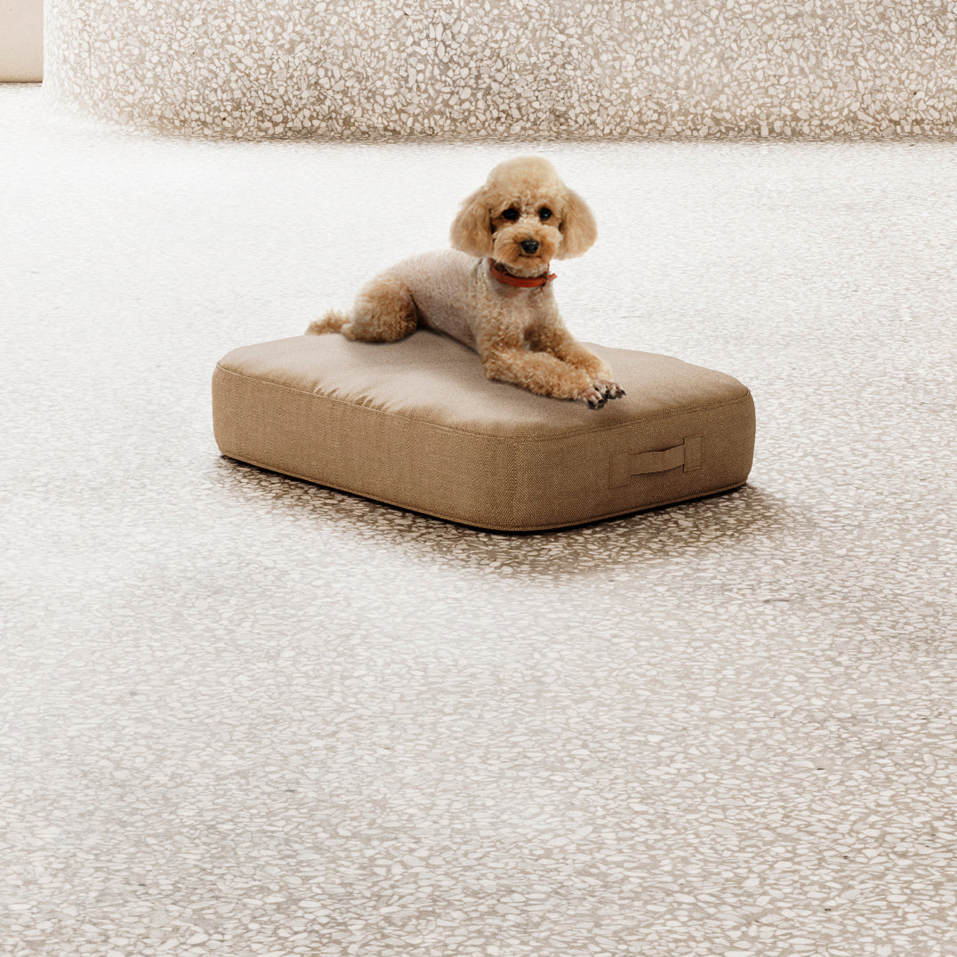 Medium Noah Dog Cushion